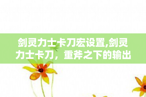 剑灵力士卡刀宏设置,剑灵力士卡刀，重斧之下的输出艺术进阶指南