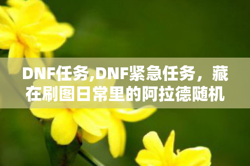 DNF任务,DNF紧急任务，藏在刷图日常里的阿拉德随机小惊喜