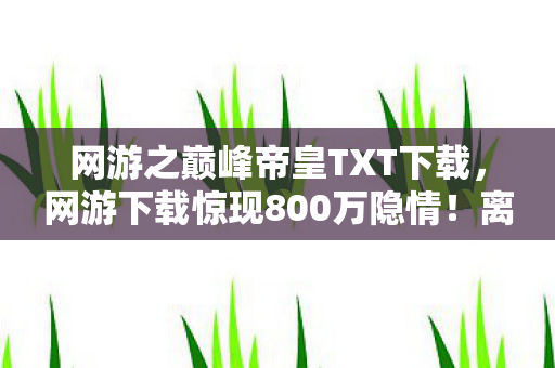 网游之巅峰帝皇TXT下载，网游下载惊现800万隐情！离职老兵拍桌怒吼，这操作真让人吓一跳！