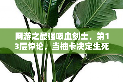 网游之最强吸血剑士,第13层悖论,当抽卡决定生死时,我的灵魂在自由与宿命中震颤 网游之最强吸血剑士,第13层悖论,当抽卡决定生死时,我的灵魂在自由与宿命中震颤