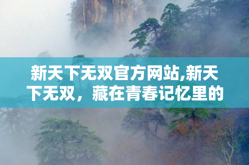 新天下无双官方网站,新天下无双，藏在青春记忆里的武侠江湖回响