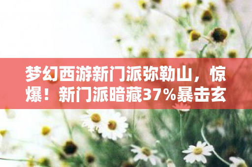 梦幻西游新门派弥勒山,惊爆!新门派暗藏37%暴击玄机,策划绝口不提的数值黑洞 梦幻西游新门派弥勒山,惊爆!新门派暗藏37%暴击玄机,策划绝口不提的数值黑洞