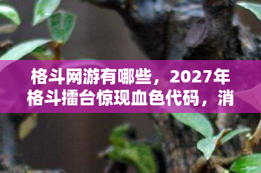 格斗网游有哪些，2027年格斗擂台惊现血色代码，消失的冠军与永不闭合的死亡回放