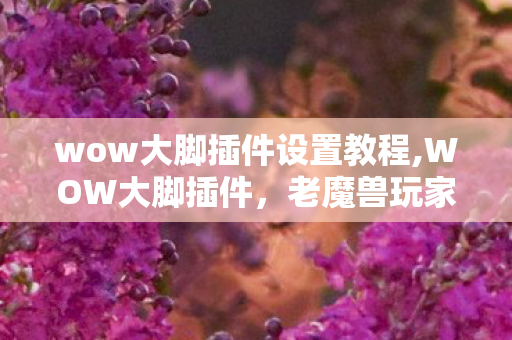 wow大脚插件设置教程,WOW大脚插件，老魔兽玩家刻在记忆里的贴心游戏伙伴