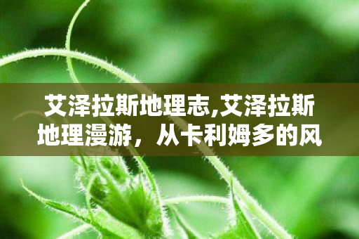 艾泽拉斯地理志,艾泽拉斯地理漫游,从卡利姆多的风砂到东部王国的松雪 艾泽拉斯地理志,艾泽拉斯地理漫游,从卡利姆多的风砂到东部王国的松雪