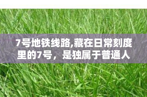 7号地铁线路,藏在日常刻度里的7号，是独属于普通人的小星光