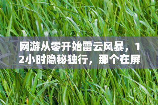 网游从零开始雷云风暴,12小时隐秘独行,那个在屏幕前哽咽的少年,后来怎样了? 网游从零开始雷云风暴,12小时隐秘独行,那个在屏幕前哽咽的少年,后来怎样了?