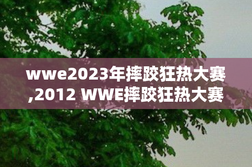 wwe2023年摔跤狂热大赛,2012 WWE摔跤狂热大赛，镌刻在迈阿密阳光下的热血摔角盛宴