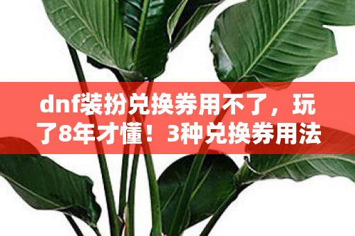 dnf装扮兑换券用不了,玩了8年才懂!3种兑换券用法选哪个?老玩家深夜纠结到失眠 dnf装扮兑换券用不了,玩了8年才懂!3种兑换券用法选哪个?老玩家深夜纠结到失眠