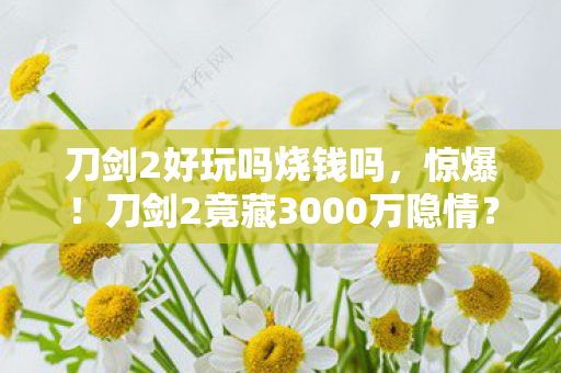 刀剑2好玩吗烧钱吗,惊爆!刀剑2竟藏3000万隐情?离职老兵拍桌怒吼,这操作吓我一跳! 刀剑2好玩吗烧钱吗,惊爆!刀剑2竟藏3000万隐情?离职老兵拍桌怒吼,这操作吓我一跳!