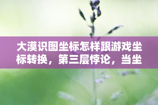 大漠识图坐标怎样跟游戏坐标转换，第三层悖论，当坐标指向永恒，我为何在虚拟中听见生命倒计时？