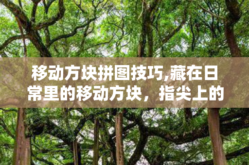 移动方块拼图技巧,藏在日常里的移动方块，指尖上的小确幸与大创意