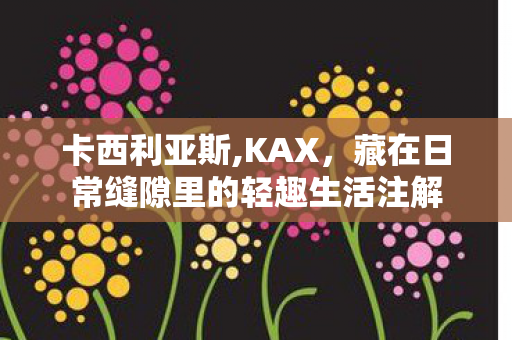 卡西利亚斯,KAX,藏在日常缝隙里的轻趣生活注解 卡西利亚斯,KAX,藏在日常缝隙里的轻趣生活注解