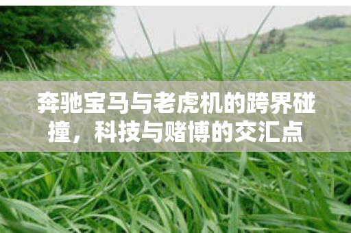 奔驰宝马与老虎机的跨界碰撞图片