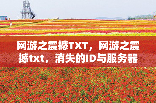 网游之震撼TXT，网游之震撼txt，消失的ID与服务器深处回荡的死亡倒计时