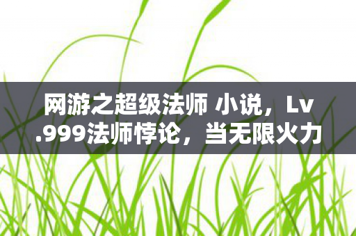 网游之超级法师 小说，Lv.999法师悖论，当无限火力撞碎现实次元壁