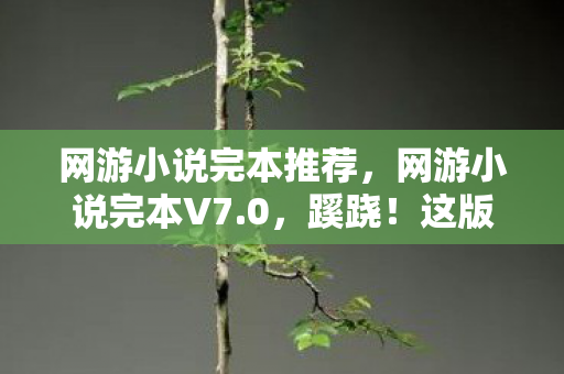 网游小说完本推荐，网游小说完本V7.0，蹊跷！这版本迭代竟藏着十年青春密码