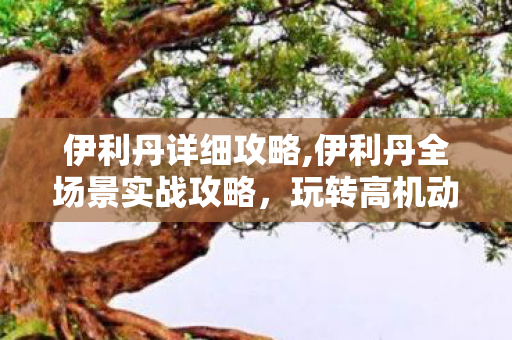 伊利丹详细攻略,伊利丹全场景实战攻略，玩转高机动近战刺客的核心技巧