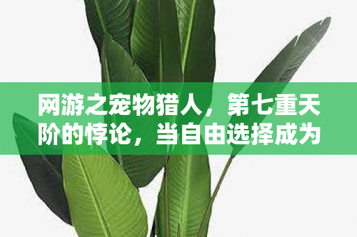 网游之宠物猎人,第七重天阶的悖论,当自由选择成为命运枷锁时,灵魂该往哪逃? 网游之宠物猎人,第七重天阶的悖论,当自由选择成为命运枷锁时,灵魂该往哪逃?