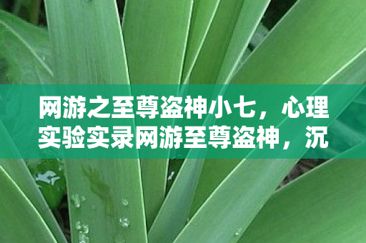 网游之至尊盗神小七，心理实验实录网游至尊盗神，沉迷背后的细思极恐多巴胺陷阱