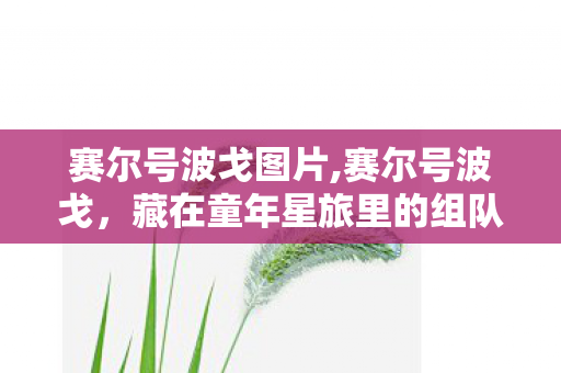 赛尔号波戈图片,赛尔号波戈，藏在童年星旅里的组队闯关记忆