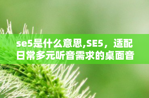 se5是什么意思,SE5,适配日常多元听音需求的桌面音频好物 se5是什么意思,SE5,适配日常多元听音需求的桌面音频好物
