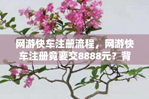 网游快车注册流程,网游快车注册竟要交8888元?背后隐情曝光,真让人吓一跳! 网游快车注册流程,网游快车注册竟要交8888元?背后隐情曝光,真让人吓一跳!