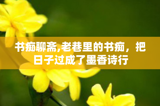 书痴聊斋,老巷里的书痴，把日子过成了墨香诗行