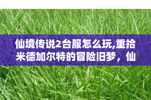 仙境传说2台服怎么玩,重拾米德加尔特的冒险旧梦，仙境传说2台服游玩手记