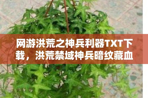 网游洪荒之神兵利器TXT下载，洪荒禁域神兵暗纹藏血咒，百万玩家离奇失踪悬案背后的毛骨悚然真相