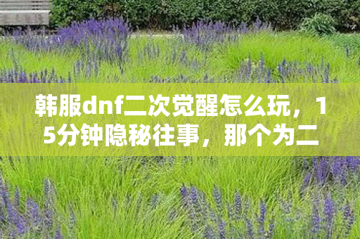 韩服dnf二次觉醒怎么玩，15分钟隐秘往事，那个为二次觉醒哽咽的深夜，你还记得吗？