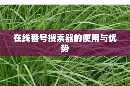 在线番号搜索器的使用与优势图片