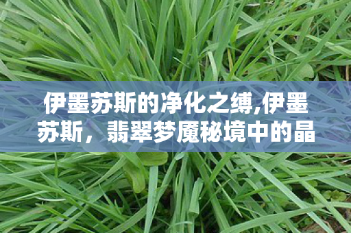 伊墨苏斯的净化之缚,伊墨苏斯,翡翠梦魇秘境中的晶化低语者 伊墨苏斯的净化之缚,伊墨苏斯,翡翠梦魇秘境中的晶化低语者