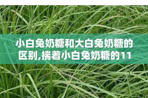 小白兔奶糖和大白兔奶糖的区别,揣着小白兔奶糖的11H，把晚春的软意全攒进衣兜
