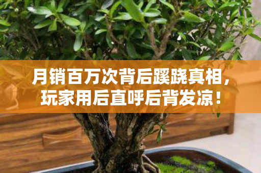 月销百万次背后蹊跷真相,玩家用后直呼后背发凉! 月销百万次背后蹊跷真相,玩家用后直呼后背发凉!