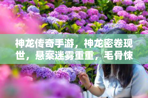 神龙传奇手游，神龙密卷现世，悬案迷雾重重，毛骨悚然十年困局