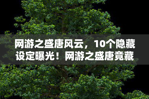 网游之盛唐风云，10个隐藏设定曝光！网游之盛唐竟藏着让百万玩家泪崩的真相