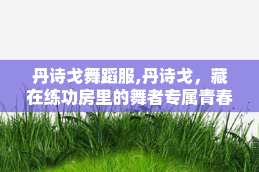 丹诗戈舞蹈服,丹诗戈，藏在练功房里的舞者专属青春印记