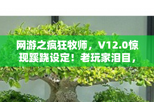 网游之疯狂牧师，V12.0惊现蹊跷设定！老玩家泪目，这波回忆杀太顶了