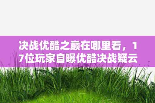 决战优酷之巅在哪里看，17位玩家自曝优酷决战疑云，这操作是AI还是人？老炮当场笑到拍桌