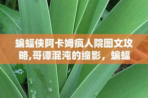 蝙蝠侠阿卡姆疯人院图文攻略,哥谭混沌的缩影，蝙蝠侠，阿卡姆疯人院的暗黑浪漫叙事