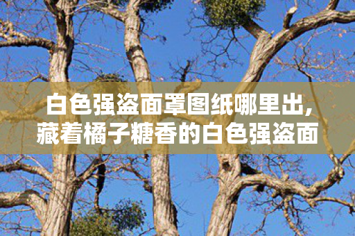 白色强盗面罩图纸哪里出,藏着橘子糖香的白色强盗面罩