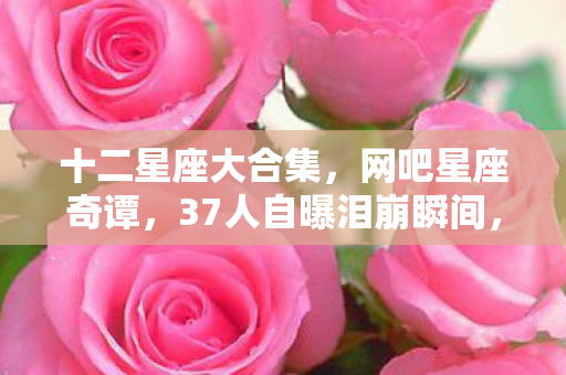 十二星座大合集，网吧星座奇谭，37人自曝泪崩瞬间，疑点重重竟因绷不住？