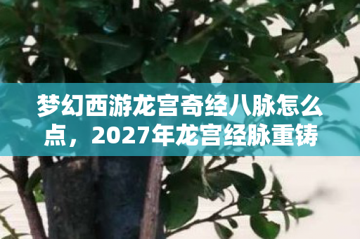 梦幻西游龙宫奇经八脉怎么点,2027年龙宫经脉重铸夜,那些别走的伏笔,让我鼻子一酸 梦幻西游龙宫奇经八脉怎么点,2027年龙宫经脉重铸夜,那些别走的伏笔,让我鼻子一酸