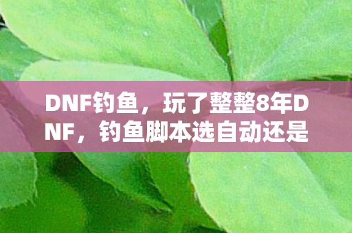 DNF钓鱼,玩了整整8年DNF,钓鱼脚本选自动还是手动?这纠结谁能懂! DNF钓鱼,玩了整整8年DNF,钓鱼脚本选自动还是手动?这纠结谁能懂!
