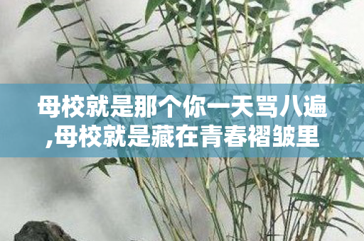 母校就是那个你一天骂八遍,母校就是藏在青春褶皱里的暖光 母校就是那个你一天骂八遍,母校就是藏在青春褶皱里的暖光