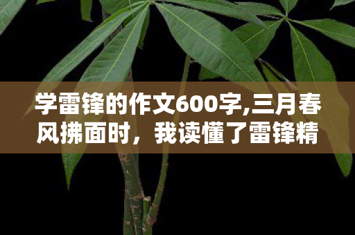 学雷锋的作文600字,三月春风拂面时,我读懂了雷锋精神的模样 学雷锋的作文600字,三月春风拂面时,我读懂了雷锋精神的模样