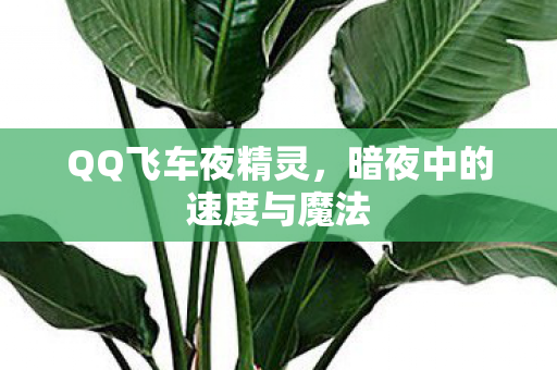 暗夜中的速度与魔法图片