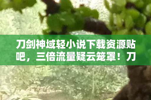 刀剑神域轻小说下载资源贴吧,三倍流量疑云笼罩!刀剑神域轻小说下载热背后的资本心寒局 刀剑神域轻小说下载资源贴吧,三倍流量疑云笼罩!刀剑神域轻小说下载热背后的资本心寒局
