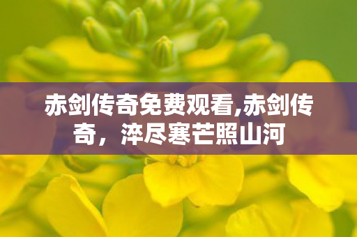 赤剑传奇免费观看,赤剑传奇,淬尽寒芒照山河 赤剑传奇免费观看,赤剑传奇,淬尽寒芒照山河